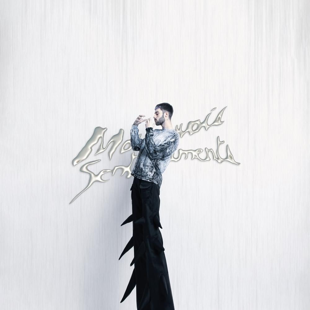 Cover image for MAUVAIS SENTIMENTS