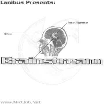 Album cover art for "Got Bitches" by Canibus