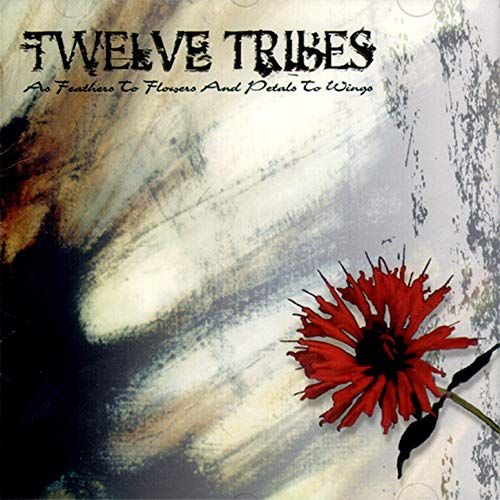 Still by Twelve Tribes