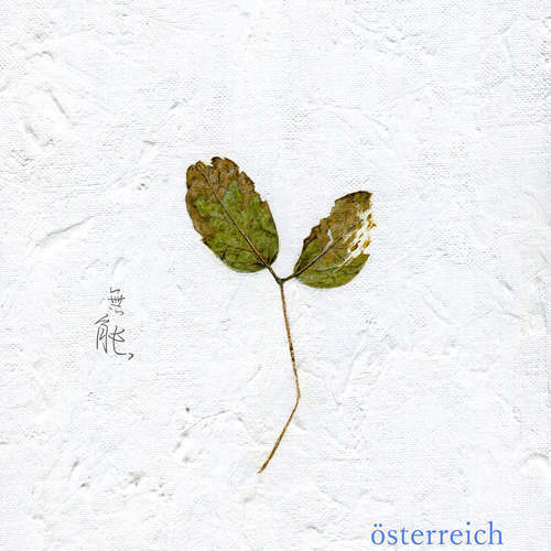 Album cover art for "無能 (munou - incompetence)" by österreich