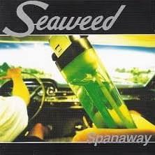 Crush Us All by Seaweed