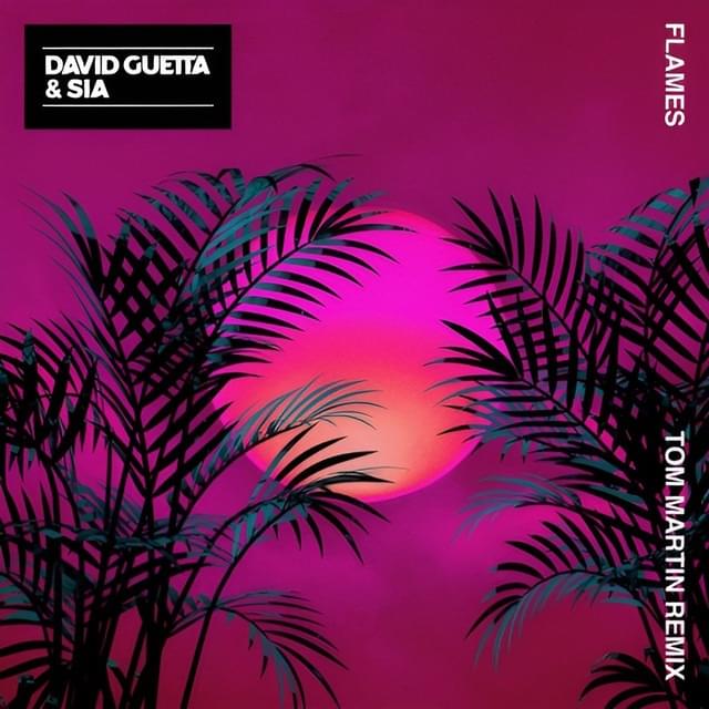 Album cover art for "Flames (Tom Martin Remix)" by David Guetta