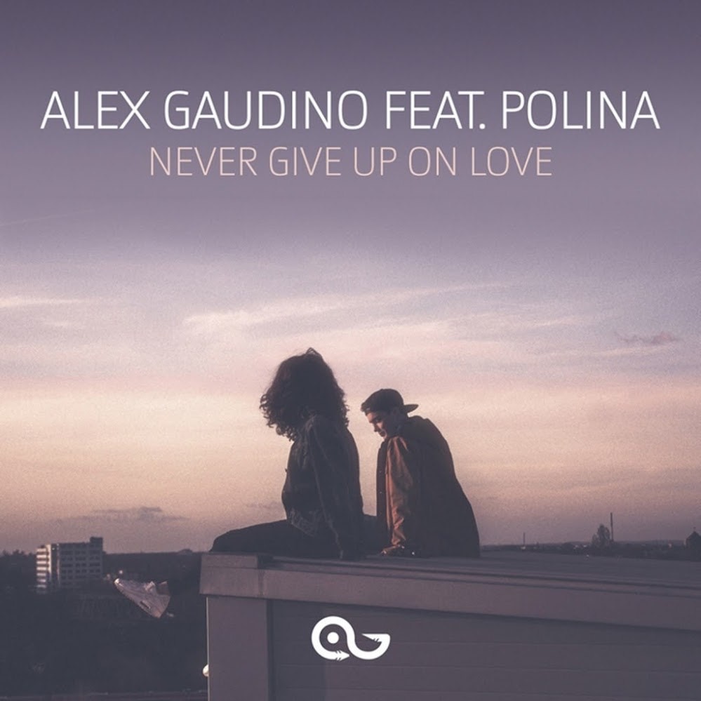 Cover image for Never Give Up on Love