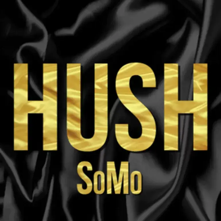 Album cover art for "Hush" by SoMo