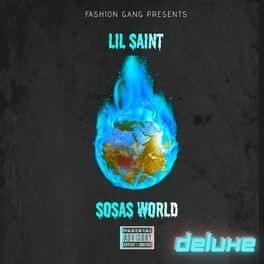 Vogels by Lil Saint (NLD)