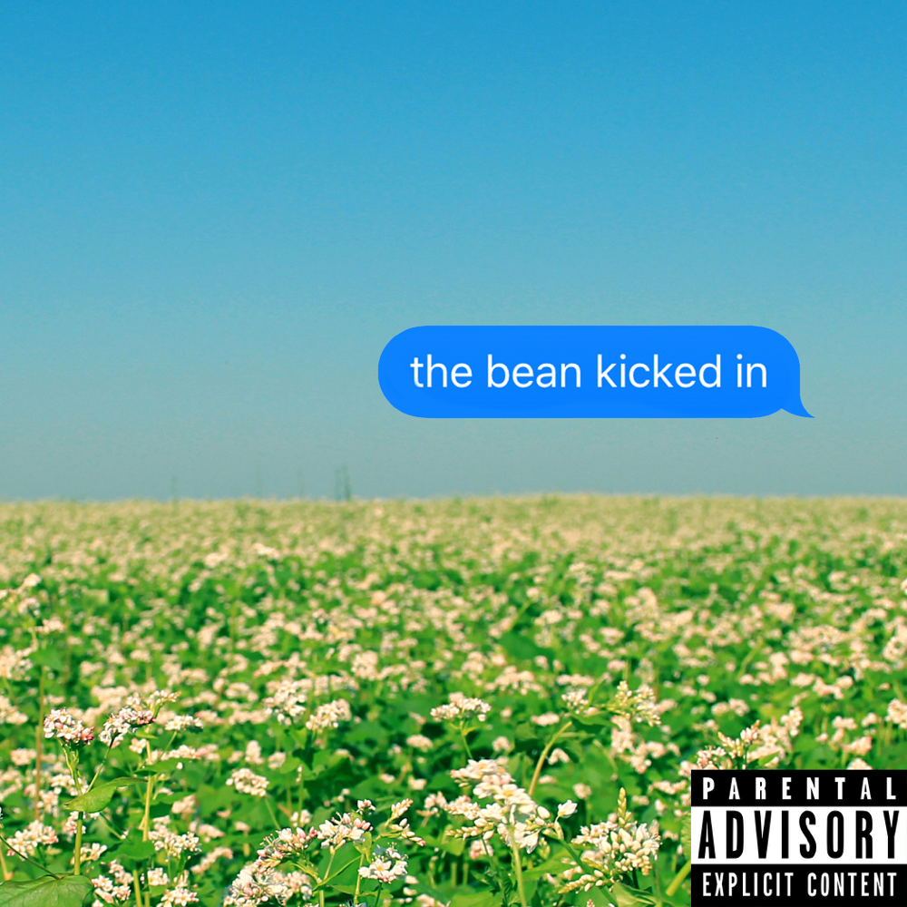 Album cover art for "The Bean Kicked In" by Zack Fox