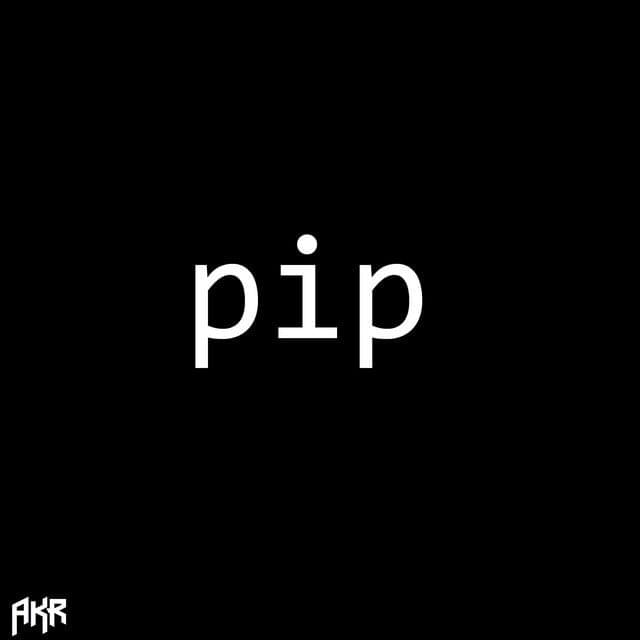 Cover image for ​pip