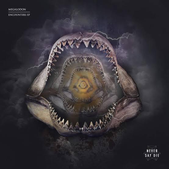 Shouting At Traffic by Megalodon