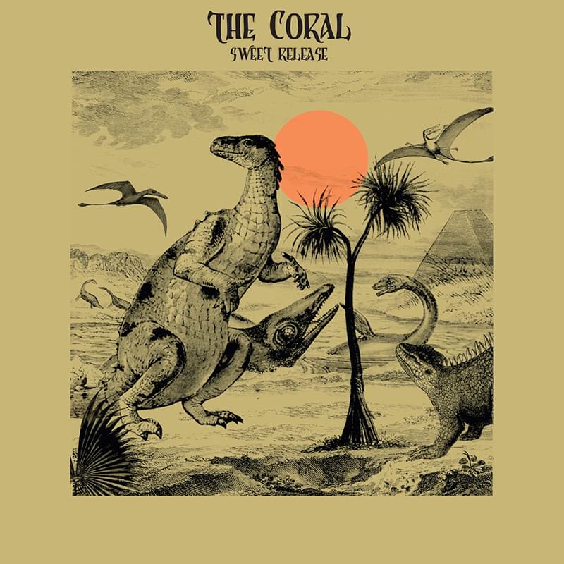 Album cover art for "Sweet Release" by The Coral