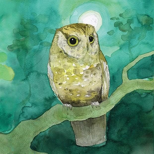 Album cover art for "Porcelain" by Sleeping At Last