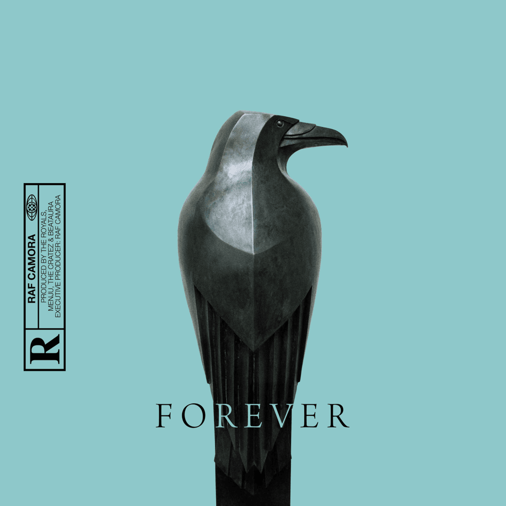 Cover image for FOREVER