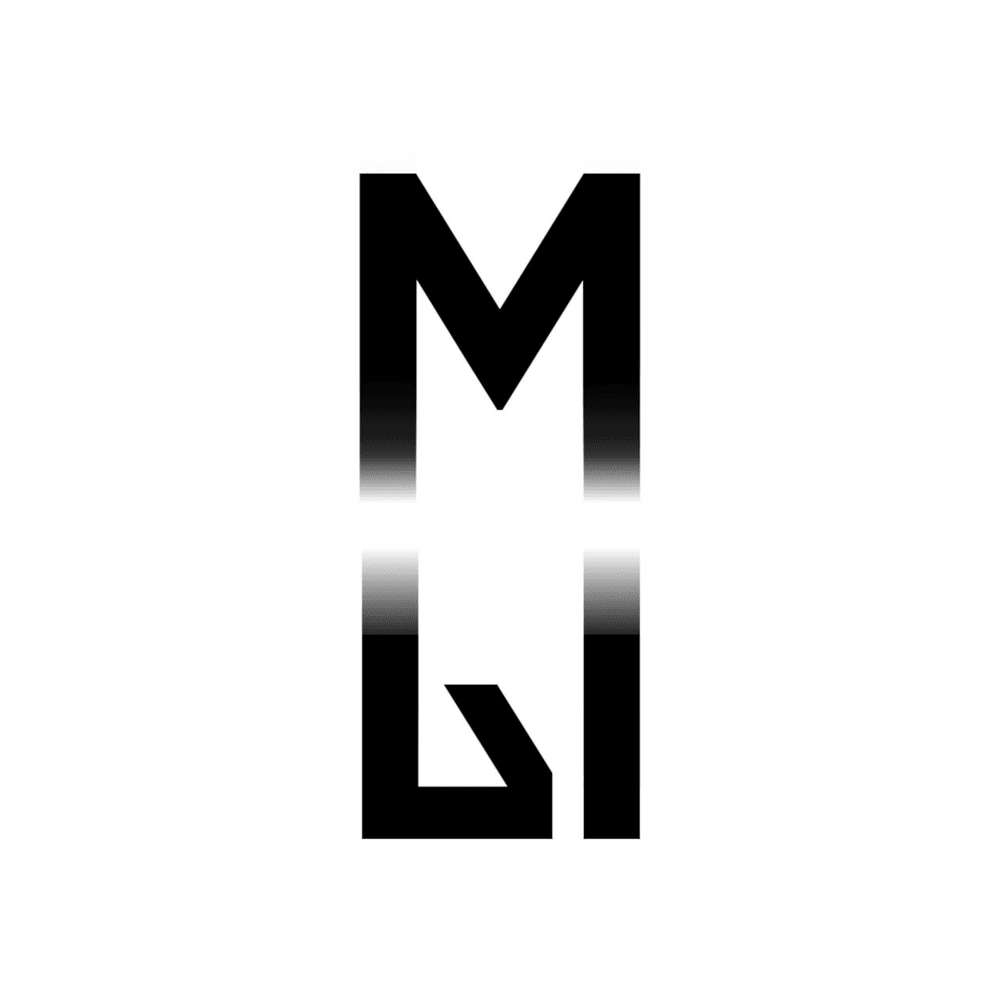 МЫ (WE) by SHAMAN