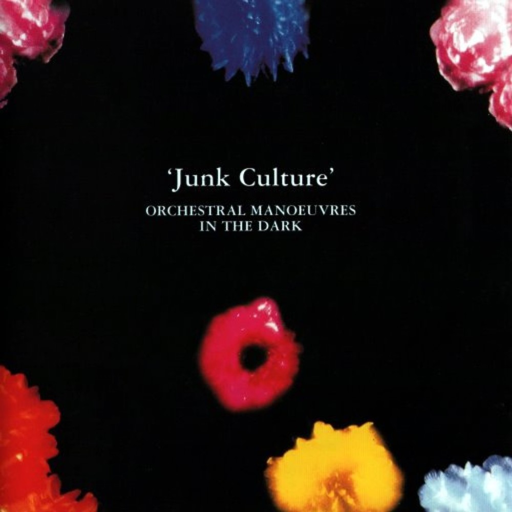 Cover image for Junk Culture
