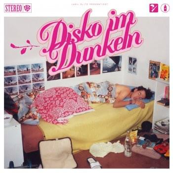 Cover image for Disko im Dunkeln