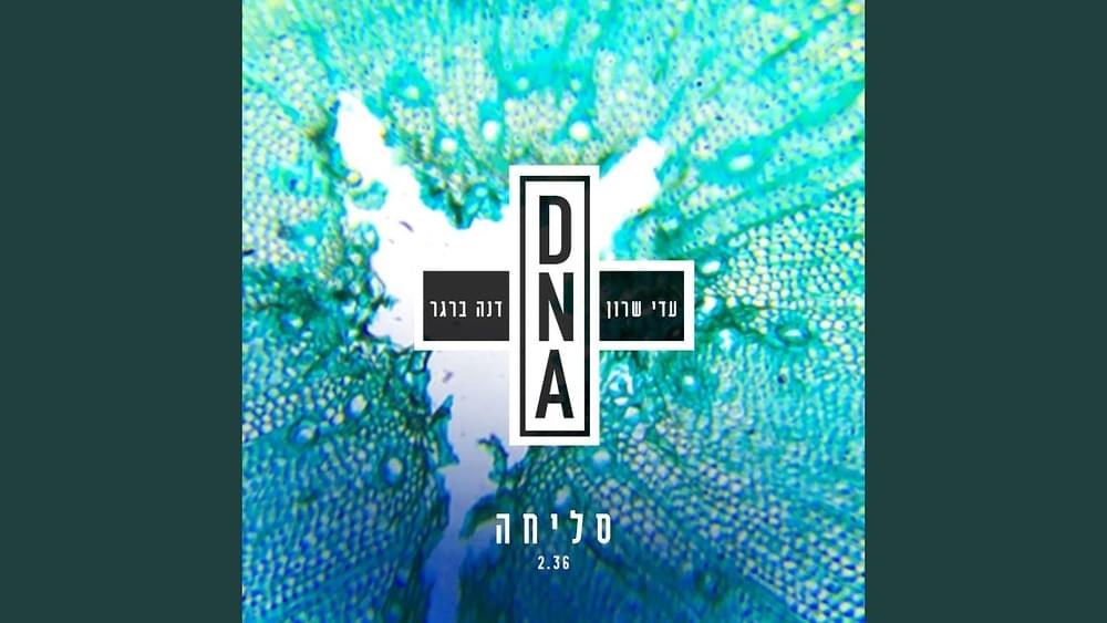 Album cover art for "Slicha - סליחה" by Dana Berger - דנה ברגר