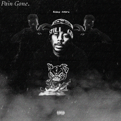 Album cover art for "Pain Gone" by Bishop Nehru