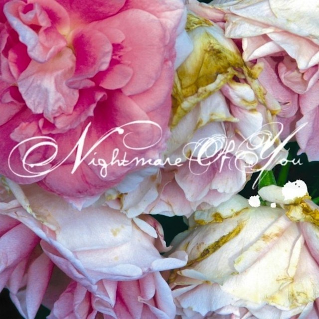 I Want to Be Buried in Your Backyard by Nightmare of You