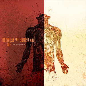 Cover image for The Anatomy Of