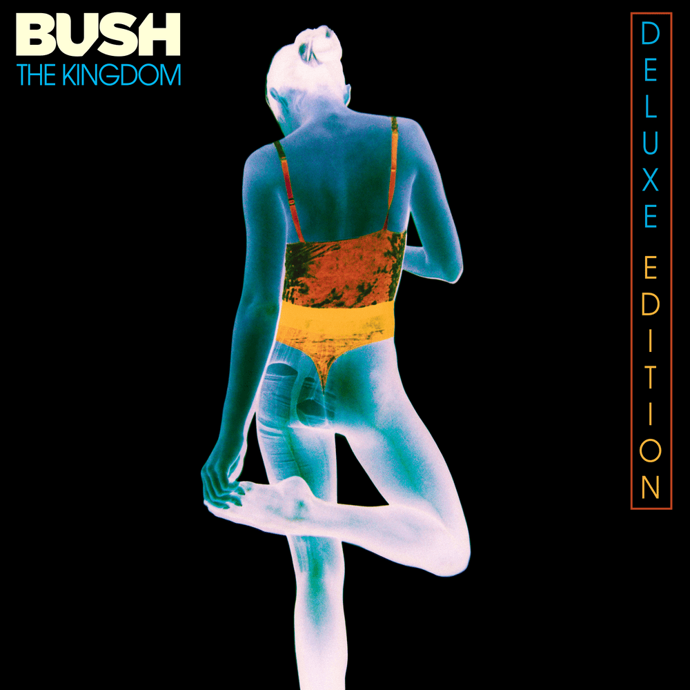 Album cover art for "Heroes" by Bush