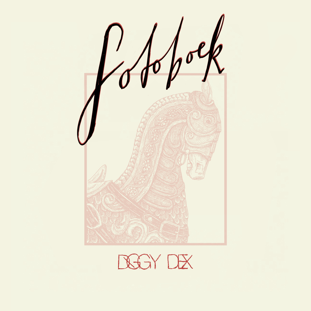 Album cover art for "Fotoboek" by Diggy Dex