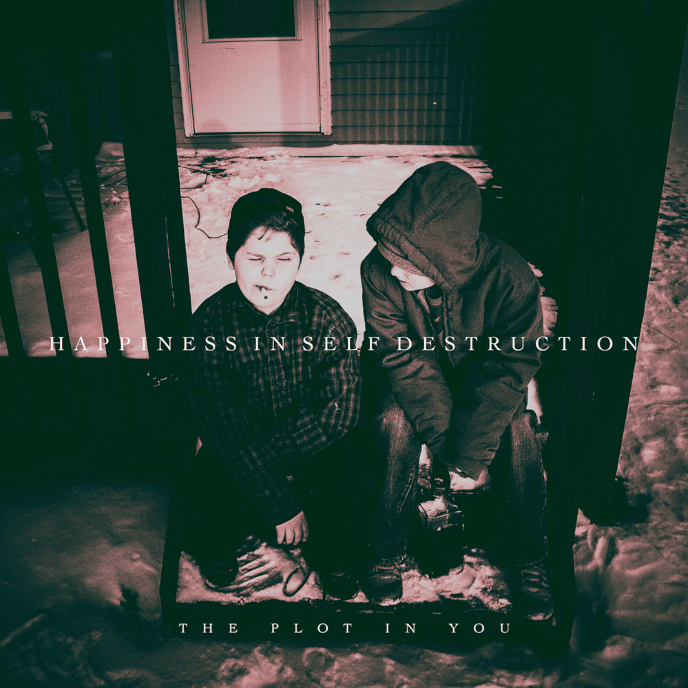 Cover image for Happiness in Self Destruction