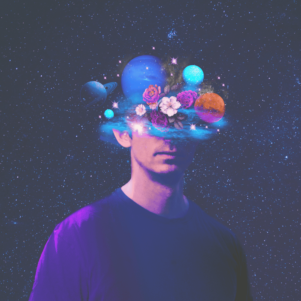 Cover image for Luminous
