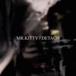 Album cover art for "Detach" by Mr.Kitty