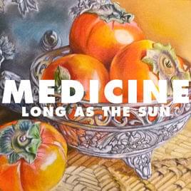 Album cover art for "Long As The Sun" by Medicine