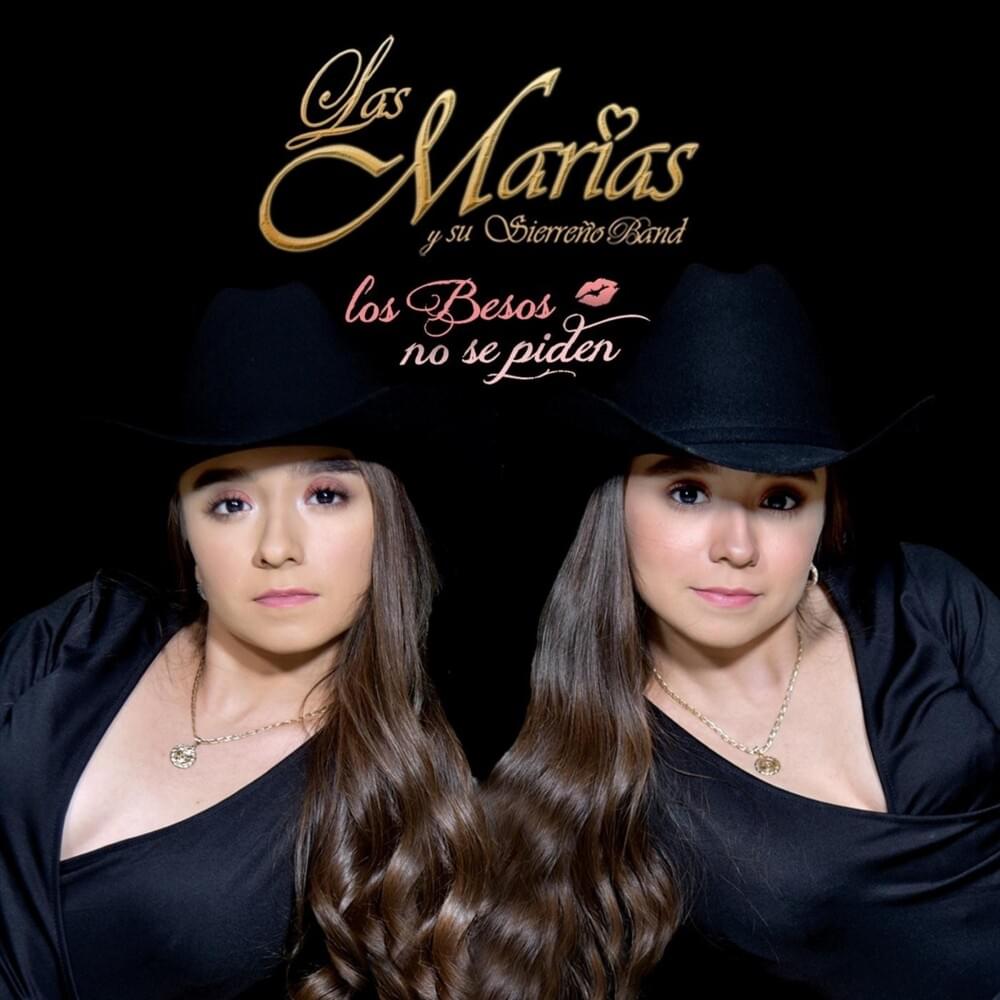 Cover image for Los Besos No Se Piden