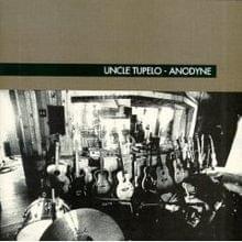 Cover image for Anodyne (Reissue)