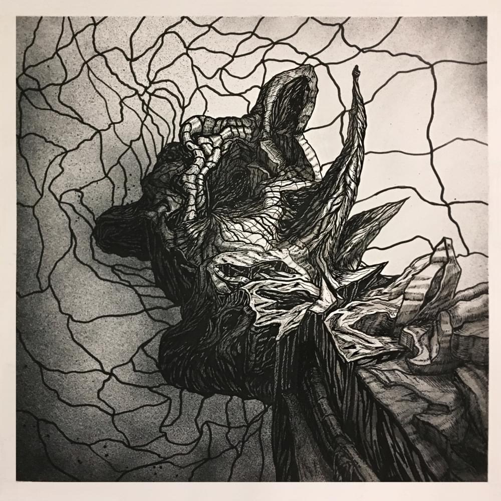 Album cover art for "Hayret Bir Şey" by Ağaçkakan