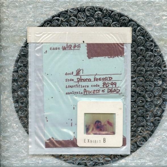 Album cover art for "Your Life, A Real Page Turner" by Process Is Dead