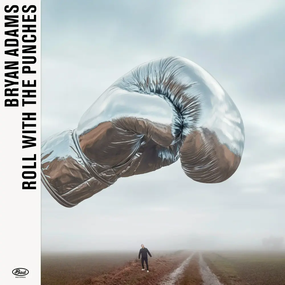 Cover image for Roll With The Punches