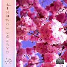 Album cover art for "44.Summum" by JMK$