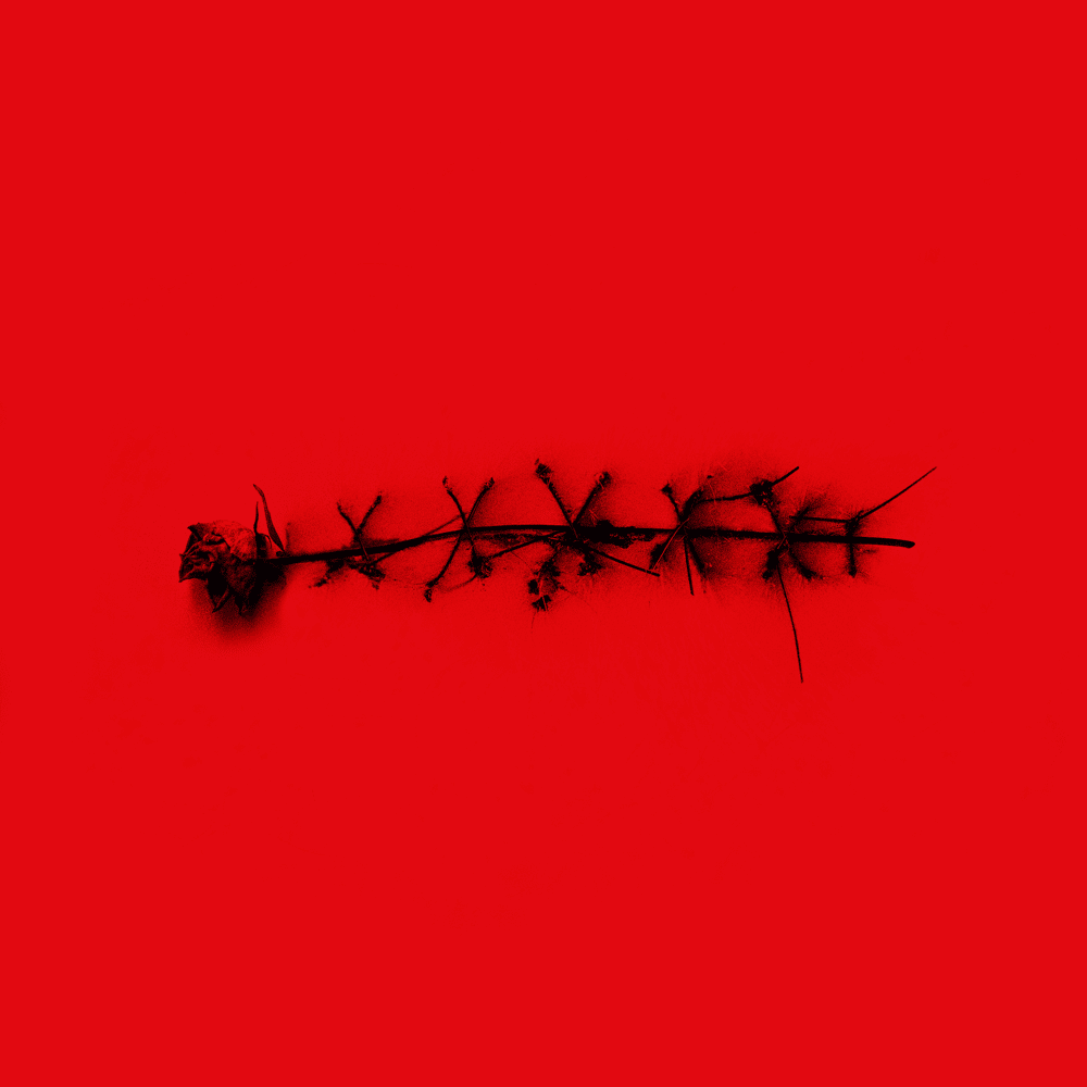 Album cover art for "DEEP CUTS" by You Me At Six