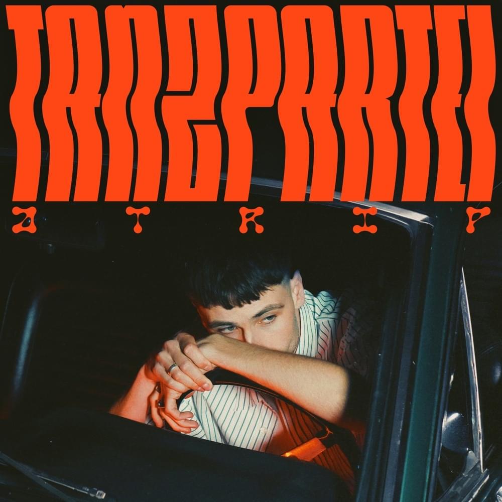 Cover image for TANZPARTEI (Mixtape)