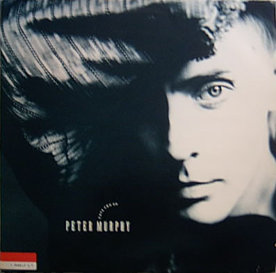 Cuts You Up by Peter Murphy