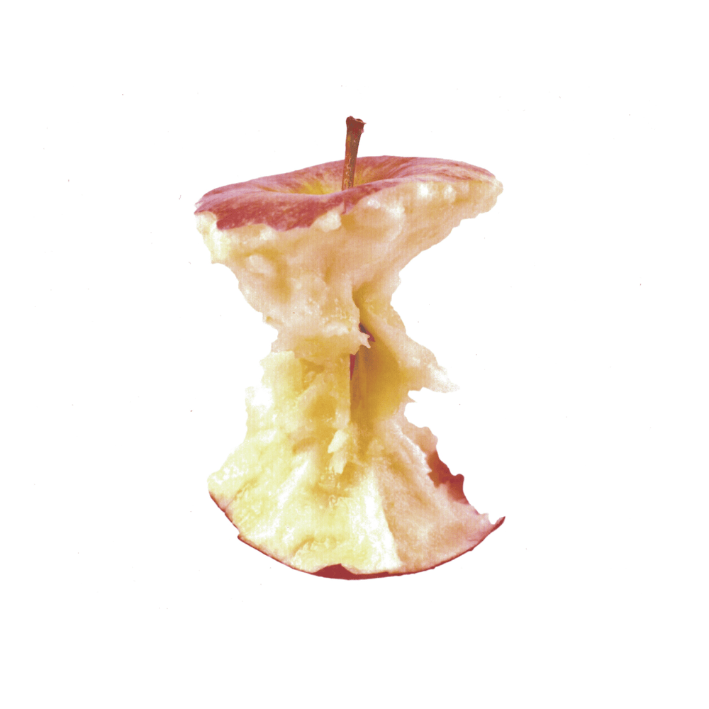 Album cover art for "Apples" by Brye