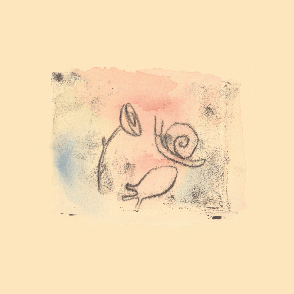 Album cover art for "Snails" by Tunng