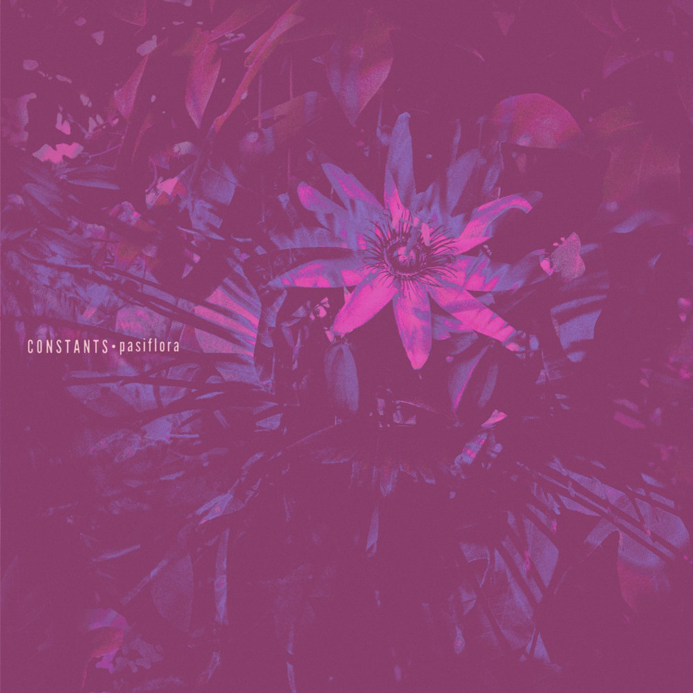 Crosses by Constants