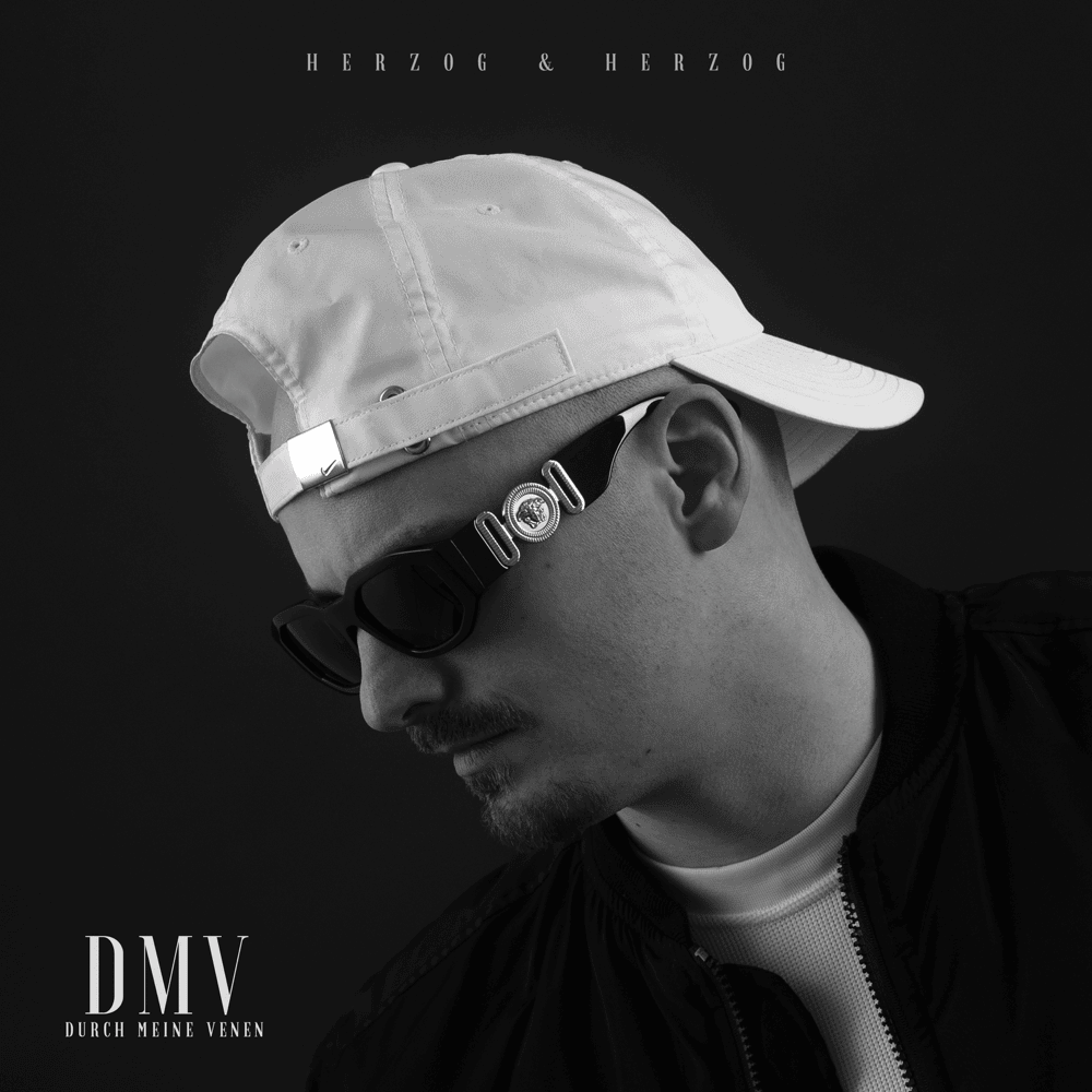 Cover image for Durch meine Venen