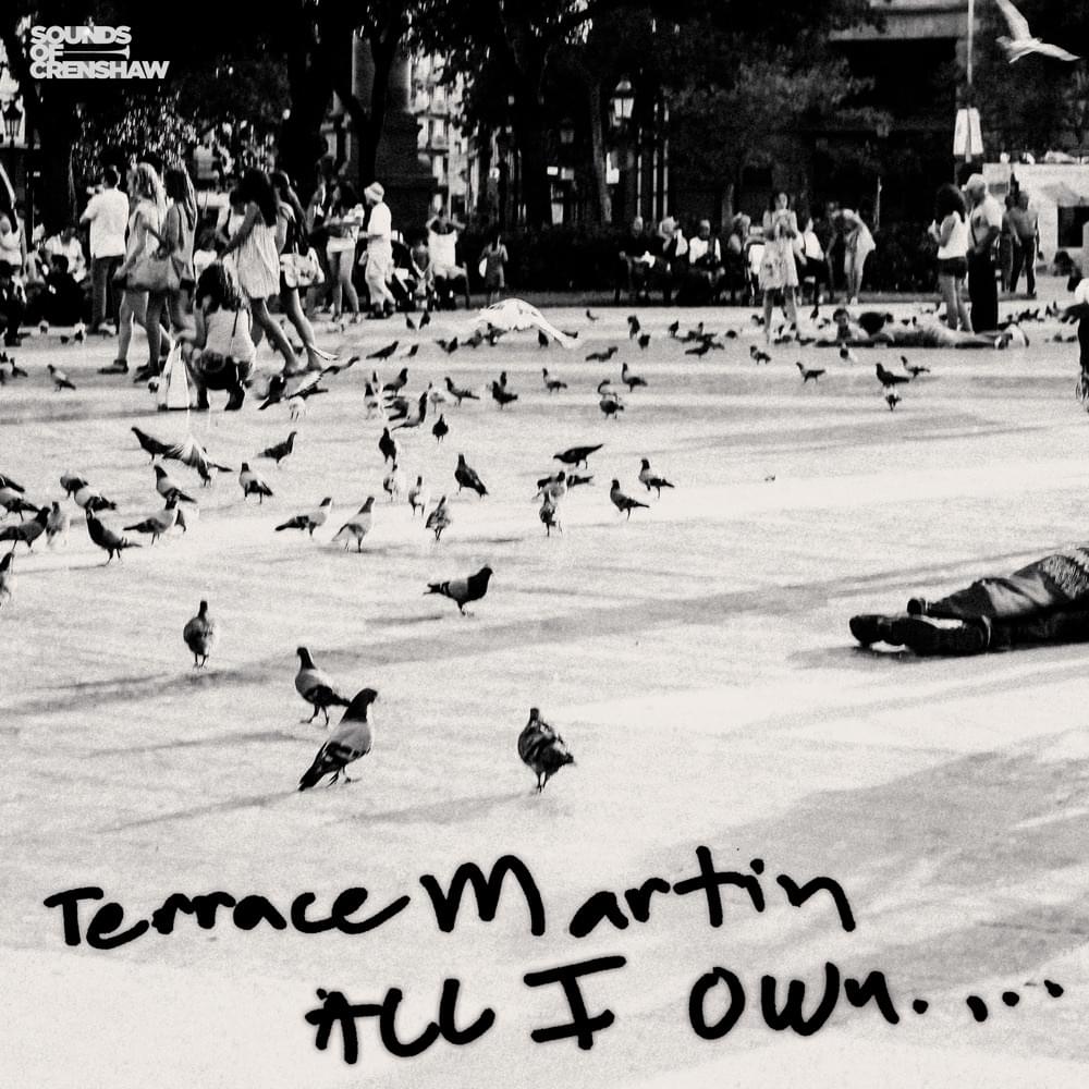 Album cover art for "All I Own" by Terrace Martin