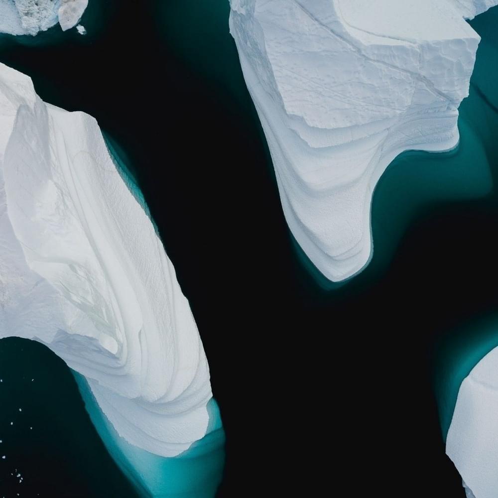 Cover image for Migratory - Single