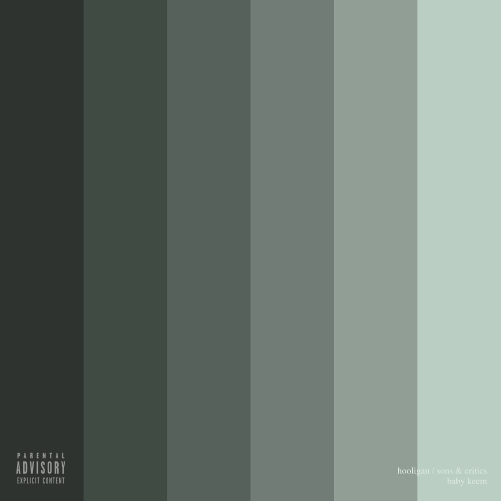 Album cover art for "hooligan" by Baby Keem