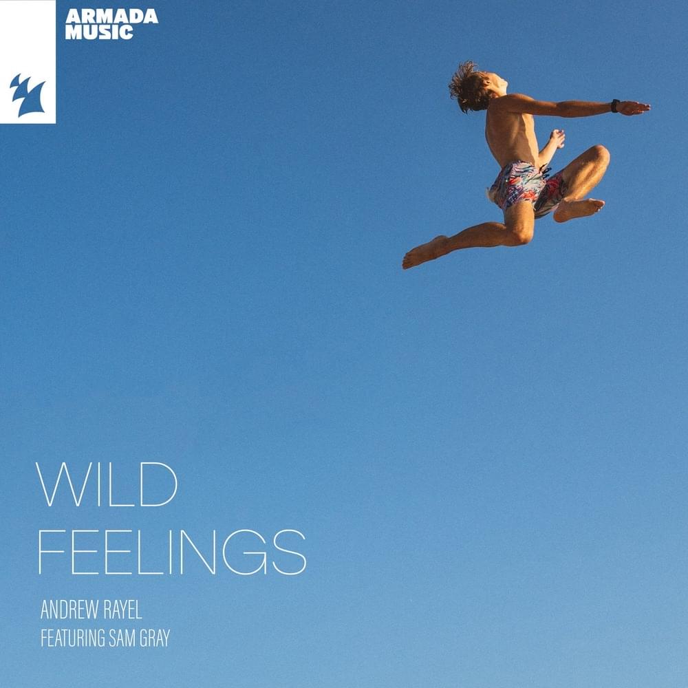 Album cover art for "Wild Feelings" by Andrew Rayel & Sam Gray