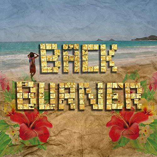 Album cover art for "Back Burner" by Salaam Remi