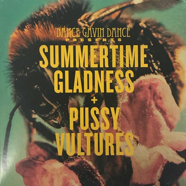 Cover image for Summertime Gladness / Pussy Vultures