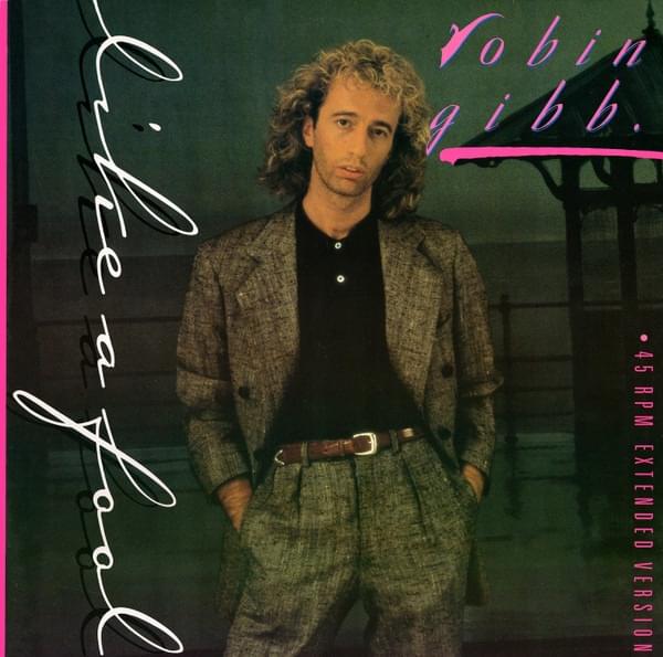 Like a Fool by Robin Gibb