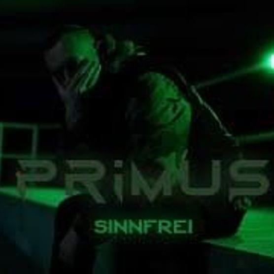 Cover image for Sinnfrei - Single