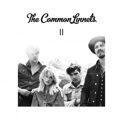 Indigo Moon by The Common Linnets